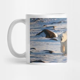 Polar Bear on the Tundra, Churchill, Canada Mug